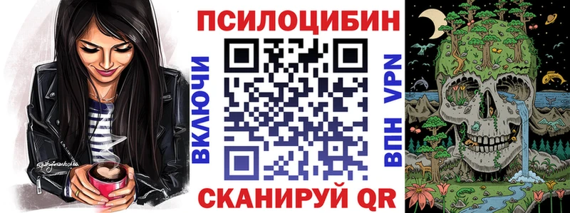 ссылка на мегу ТОР  Севск  Галлюциногенные грибы Psilocybe 